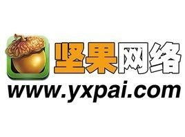 上海堅果網絡科技發展 引領網絡技術服務創新的前沿力量